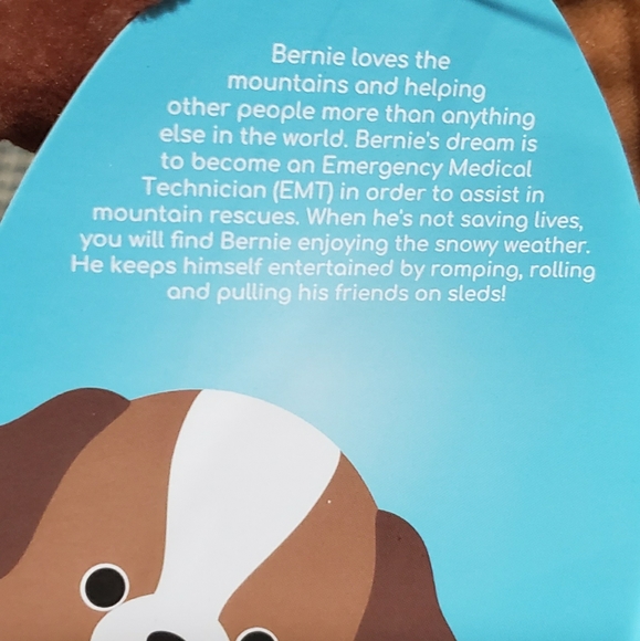 Squishmallows Dog Bernie Plush Toy Kellytoy - Picture 5 of 7